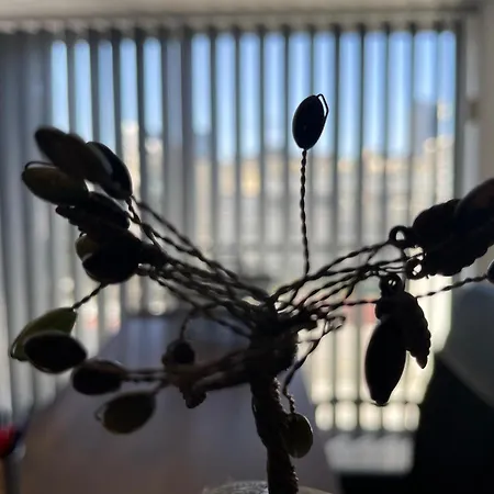 Comfort In - Orfeos By Platform 357